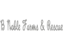 BNoble Logo